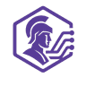 MinervaFlow Logo